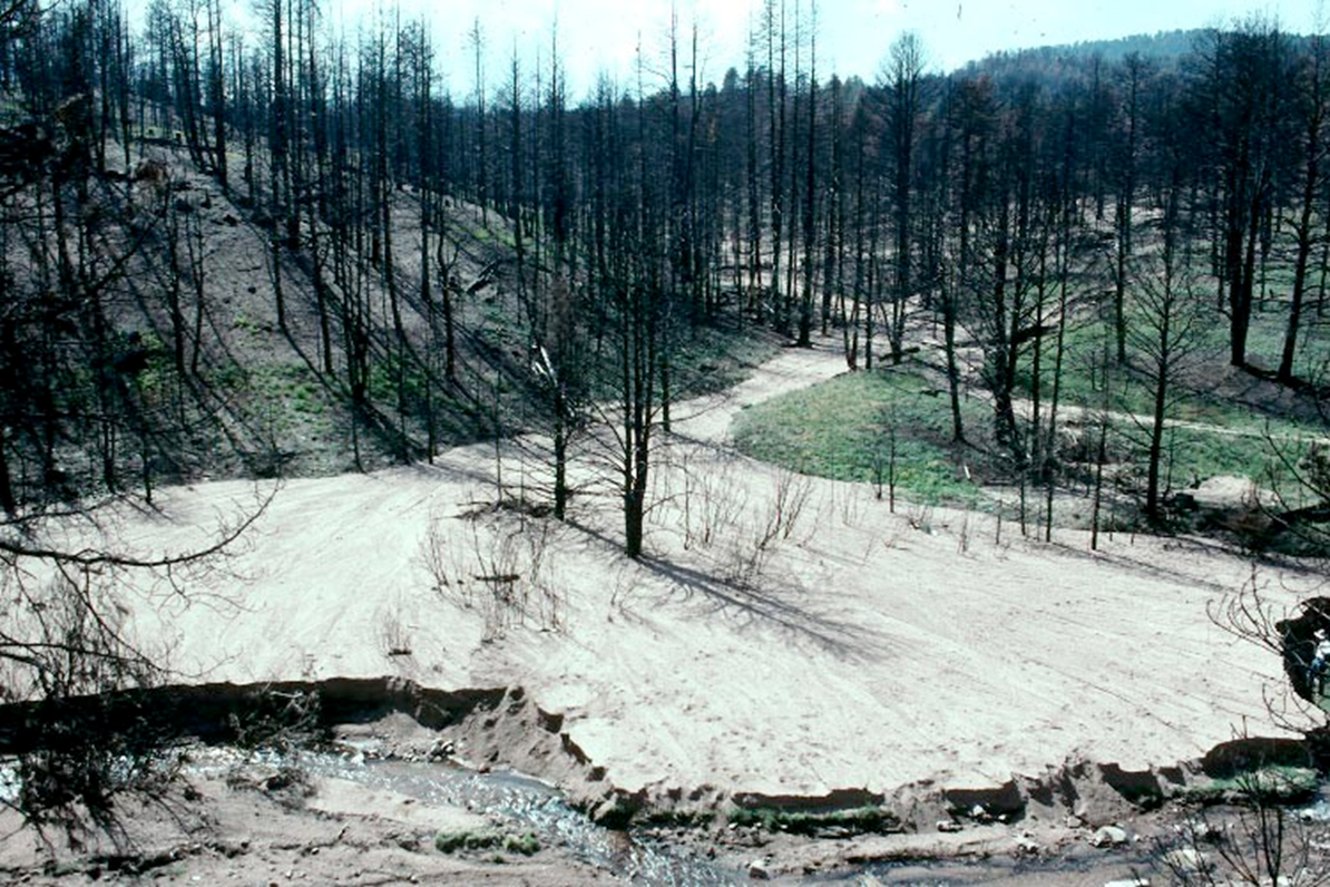 Buffalo Creek Fire