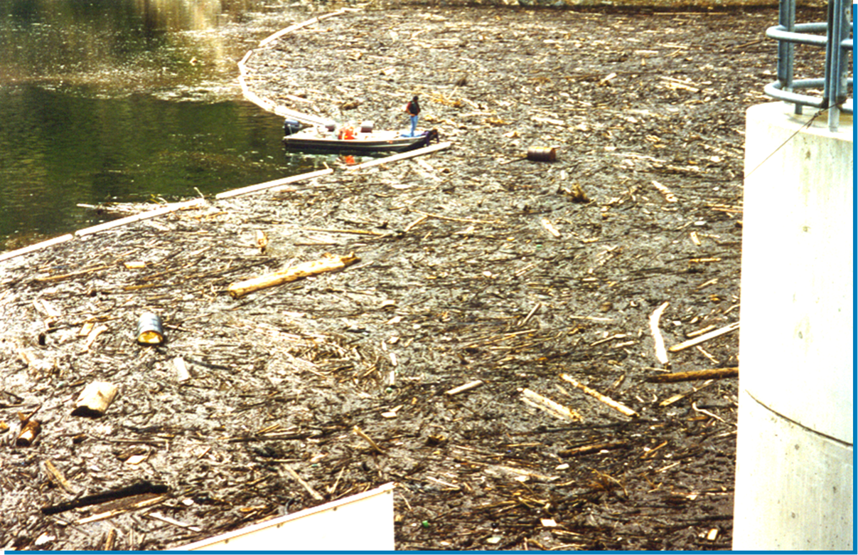 Buffalo Creek Fire Debris Flow into Strontia Springs Reservoir, 1996