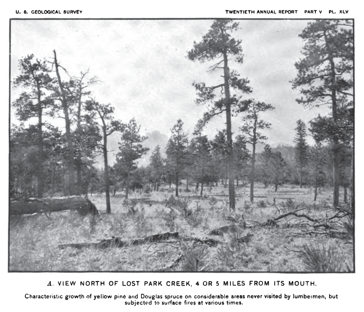 North Park Creek historical photo